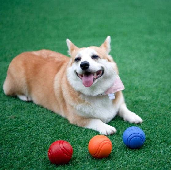 Bola com Corda - wonder store